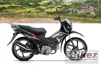 Honda store 115 motorcycle